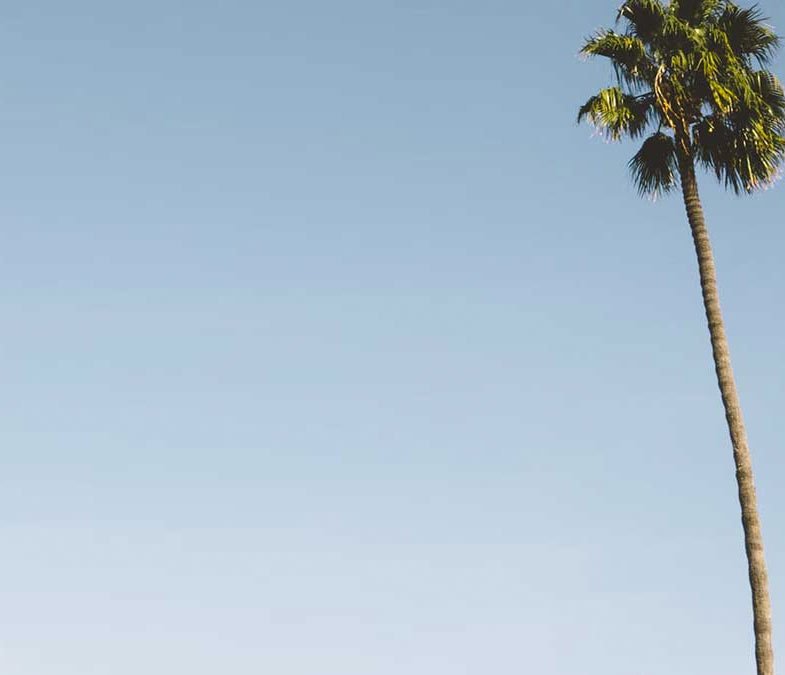 Sydney tech landscape