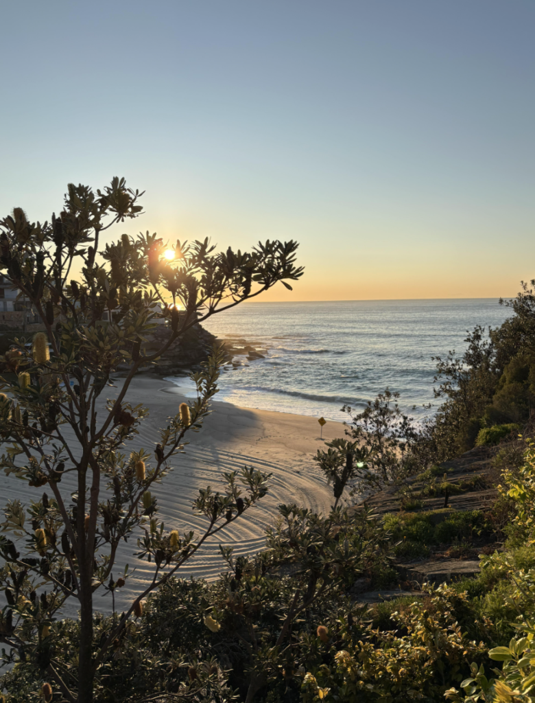 Platform Ops, SRE, Site Reliability Engineer, Production Support Legend (AWS + Node, TS) ❄️ - Best Tech Recruitment Agency in Sydney - Big Wave Digital