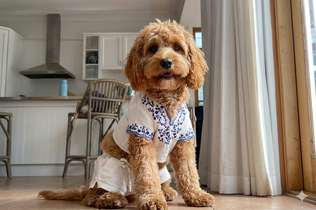 AI-powered fintech innovation