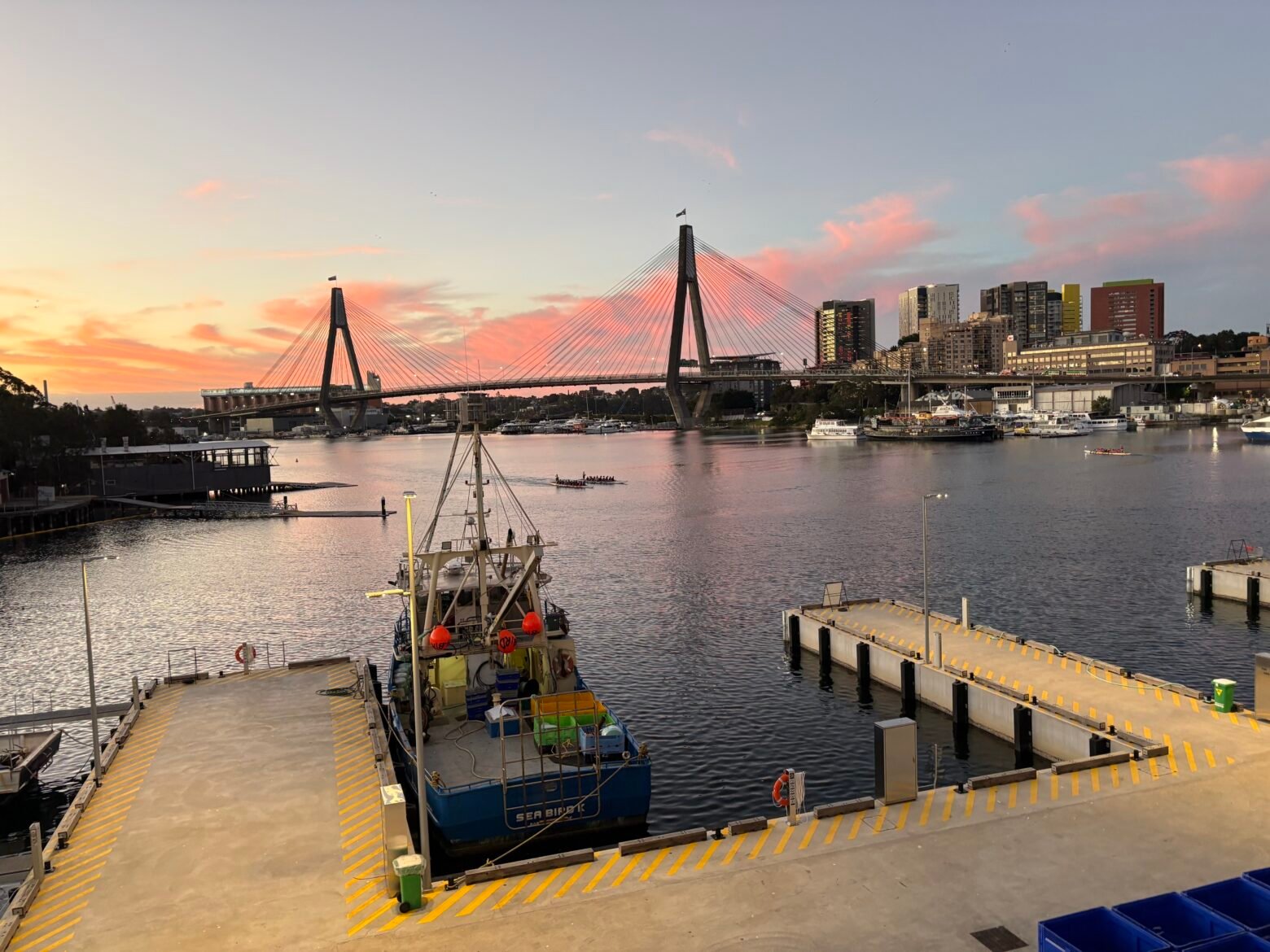 Sydney office culture and collaboration