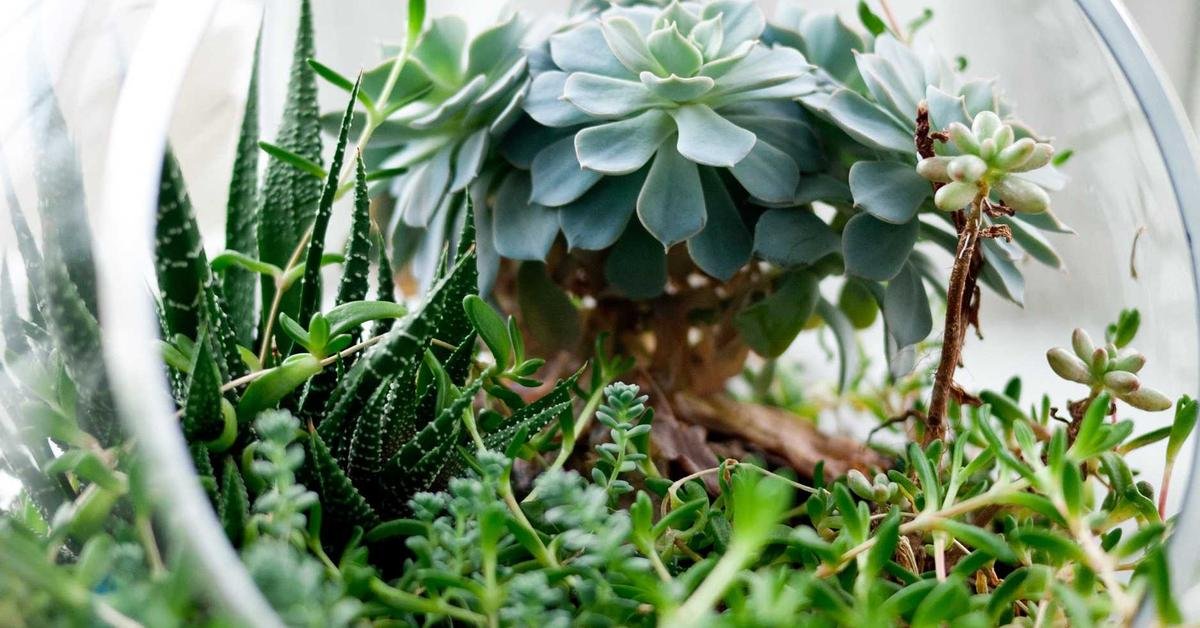 AI Engineering Manager - Big Wave Digital Technology Recruitment Sydney