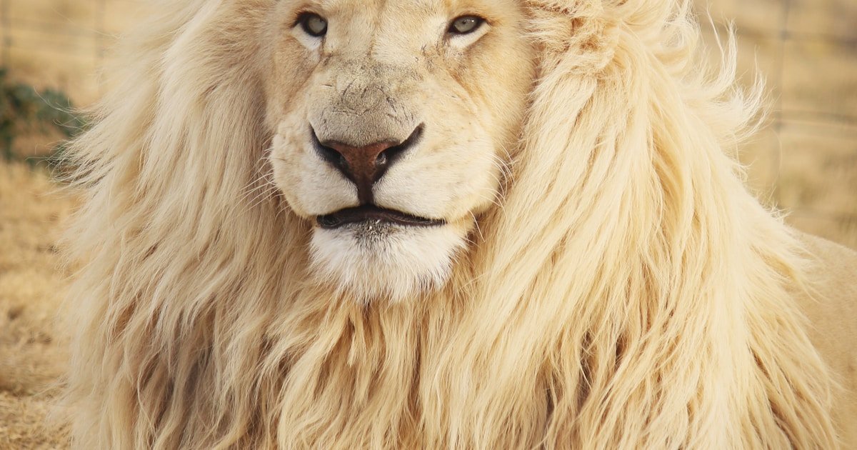 Soaring to new heights in data engineering